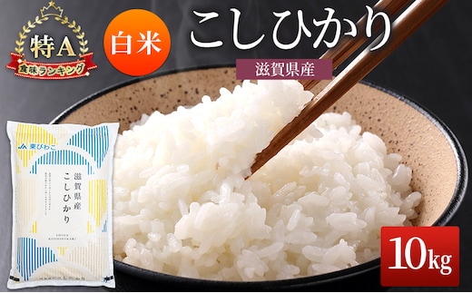 コシヒカリ 白米 10kg 米 コメ お米 こめ 精米 こしひかり 滋賀県 豊郷町