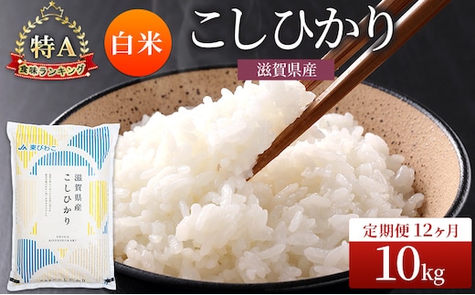 コシヒカリ 白米 10kg 定期 12回 米 コメ お米 こめ 精米 こしひかり 滋賀県 豊郷町