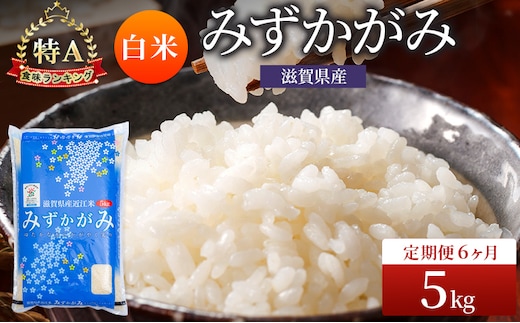 みずかがみ 白米 5kg 定期 6回 米 コメ お米 こめ 精米 ミズカガミ 滋賀県 豊郷町
