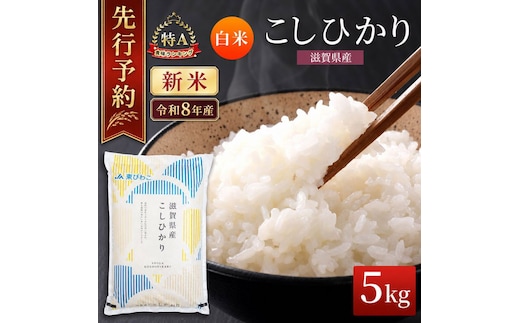 【令和8年産】 先行予約 新米 こしひかり 5kg 米 精米 こめ コメ お米 ご飯 コシヒカリ 5キロ 令和8年 令和8年度産 令和八年 令和八年産 滋賀県 豊郷 豊郷町