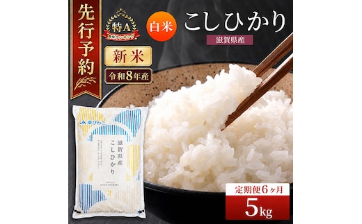 【令和8年産】 先行予約 新米 こしひかり 5kg 6回定期便 令和8年産 定期便 米 精米 こめ コメ お米 ご飯 米 コシヒカリ 米定期便 6か月定期便 6ヶ月定期便 6回 6ヶ月 6か月 滋賀県 豊郷 豊郷町