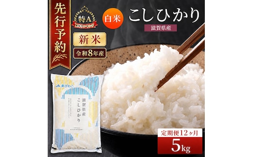 【令和8年産】 先行予約 新米 こしひかり 5kg 12回定期便 令和8年産 定期便 米 精米 こめ コメ お米 ご飯 米 コシヒカリ 米定期便 12か月定期便 12ヶ月定期便 12回 12ヶ月 12か月 滋賀県 豊郷 豊郷町