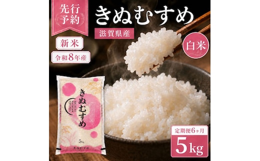 【令和8年産】 先行予約 新米 きぬむすめ 5kg 6回定期便 令和8年産 定期便 米 精米 こめ コメ お米 ご飯 米 キヌムスメ 米定期便 6か月定期便 6ヶ月定期便 6回 6ヶ月 6か月 滋賀県 豊郷 豊郷町