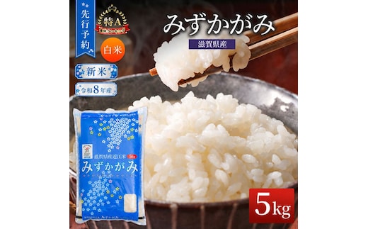 【令和8年産】 先行予約 新米 みずかがみ 5kg 米 精米 こめ コメ お米 ご飯 ミズカガミ 5キロ 令和8年 令和8年度産 令和八年 令和八年産 滋賀県 豊郷 豊郷町