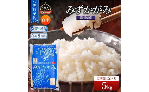 【令和8年産】 先行予約 新米 みずかがみ 5kg 12回定期便 令和8年産 定期便 米 精米 こめ コメ お米 ご飯 米 ミズカガミ 米定期便 12か月定期便 12ヶ月定期便 12回 12ヶ月 12か月 滋賀県 豊郷 豊郷町