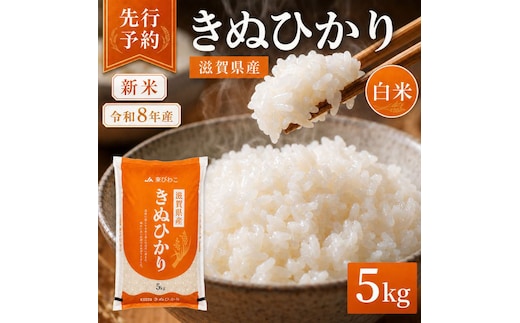 【令和8年産】 先行予約 新米 きぬひかり 白米 5kg 米 精米 こめ コメ お米 ご飯 キヌヒカリ 5キロ 令和8年 令和8年度産 令和八年 令和八年産 滋賀県 豊郷 豊郷町