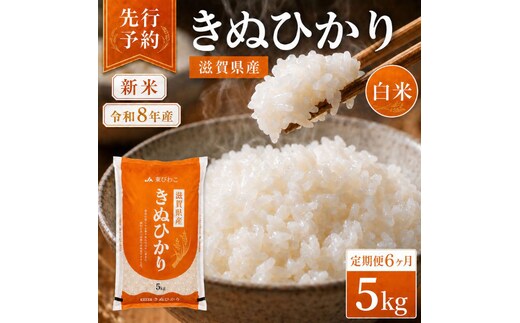 【令和8年産】 先行予約 新米 きぬひかり 5kg 6回定期便 令和8年産 定期便 米 精米 こめ コメ お米 ご飯 米 キヌヒカリ 米定期便 6か月定期便 6ヶ月定期便 6回 6ヶ月 6か月 滋賀県 豊郷 豊郷町