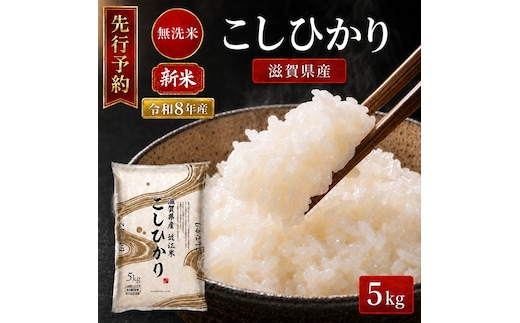 【令和8年産】 先行予約 新米 BG無洗米 コシヒカリ 5kg 米 無洗 無洗米 こめ コメ お米 ご飯 こしひかり 5キロ 令和8年 令和8年度産 令和八年 令和八年産 滋賀県 豊郷 豊郷町