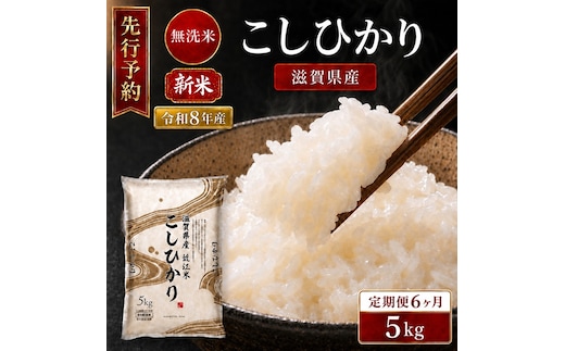 【令和8年産】 先行予約 新米 BG無洗米 コシヒカリ 5kg 6回定期便 令和8年産 定期便 米 無洗 無洗米こめ コメ お米 ご飯 米 こしひかり 米定期便 6か月定期便 6ヶ月定期便 6回 6ヶ月 6か月 滋賀県 豊郷 豊郷町