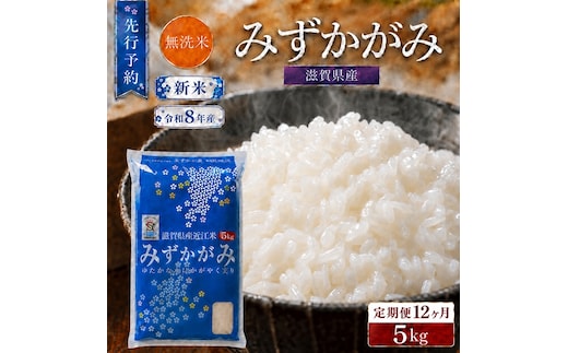 【令和8年産】 先行予約 新米 BG無洗米 みずかがみ 5kg 12回定期便 令和8年産 定期便 米 無洗 無洗米 こめ コメ お米 ご飯 米 ミズカガミ 米定期便 12か月定期便 12ヶ月定期便 12回 12ヶ月 12か月 滋賀県 豊郷 豊郷町