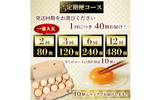 本当に 安い 通販その他 - 惚れ惚れウンコの素 2箱 