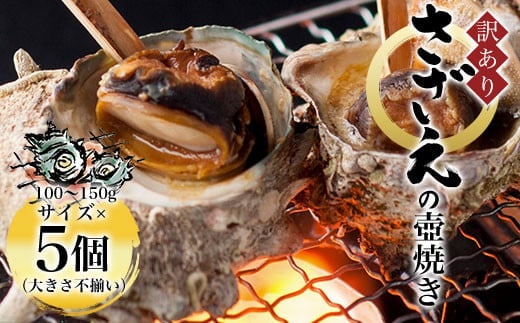 【訳あり】さざえの壺焼き 100～150g サイズ×5個 （大きさ不揃い） ふるさと納税 訳あり さざえ 京都府 福知山市