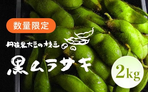 ＜先行予約！2026年10月中旬以降順次発送予定＞丹波黒大豆の枝豆 「黒ムラサキ」(2kg) 【fc-DB010】【夜久野 清雫】