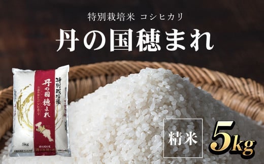 ＜令和7年産＞ 特別栽培米 コシヒカリ 丹の国穂まれ(精米5kg) 【fc-CR004】【京都丹の国農業協同組合】