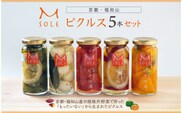 京都・福知山ピクルス　５本セット  ふるさと納税 ピクルス 酢漬け 規格外野菜 万願寺とうがらし ミニトマト うずら卵 カボチャ サツマイモ 京都府 福知山市