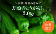 ＜先行予約！2026年6月上旬以降順次発送予定＞万願寺とうがらし(2kg) 【fc-DB008】【夜久野 清雫】