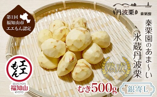 【先行予約11月中旬発送】秦栗園のあま～い氷蔵丹波栗 銀寄L むき500g【第1回福知山市ええもん認定】【熟成】 ふるさと納税 栗 くり 人気 和 スイーツ 高級 和菓子 栗菓子 ギフト プレゼント お取り寄せ グルメ 京都府 福知山市 ※沖縄・離島配送不可