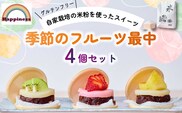 季節のフルーツ最中セット(計4個)【fc-DY002】【Happiness】