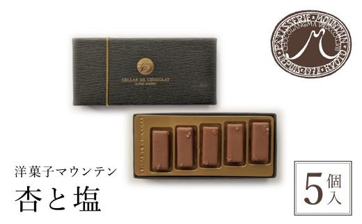 洋菓子マウンテン 杏と塩 / スイーツ 洋菓子 チョコレート ショコラ ショコラティエ 世界大会 総合優勝 ミルクチョコレート 杏 フルーティ 死海の塩 5個入 ギフト プレゼント 福知山市 京都府 FCEA001