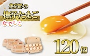 奥京都の撫子たまご 120個入(110個＋割れ保証10個) 三和鶏園 MS～LLサイズ / FCDZ003
