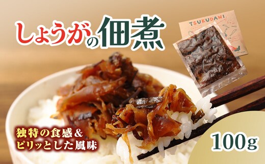 TSUKUDANI/しょうがの佃煮 (100g)【fc-BW012】【M.vege】