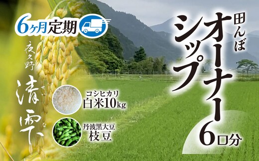 ＜令和8年10月中旬より発送！＞＜6ヶ月定期＞田んぼオーナーシップ 清雫 (6口分・白米10kg・黒ムラサキ) 【fc-DB002-C】【合同会社夜久野清雫】