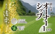 ＜令和8年10月中旬より発送！＞田んぼオーナーシップ 清雫 (1口分・白米10kg・黒ムラサキ)【fc-DB002-A】【合同会社夜久野清雫】