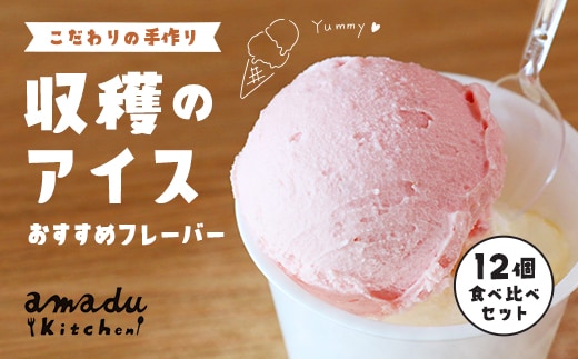 【こだわりの手作り】収穫のアイス<おすすめフレーバー食べ比べ12個セット>（ミルク・イチゴ・ほうじ茶・抹茶・丹波栗・丹波黒豆各2カップ）/ ふるさと納税 スイーツ アイス アイスクリーム こだわり 手作り 12個 食べ比べ セット 季節 ミルク イチゴ ほうじ茶 抹茶 丹波栗 丹波黒豆 ヒラヤミルク 自家製 無着色 福知山市 京都府 FCCP003