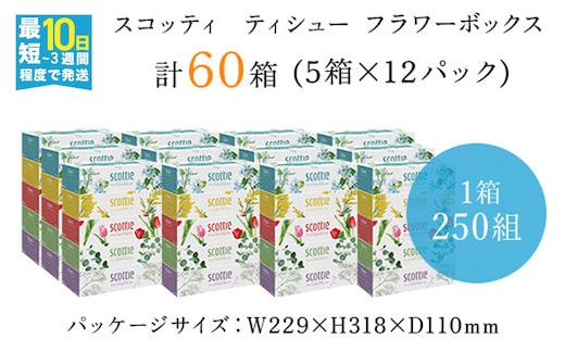 【ボックスティッシュ】スコッティティシューフラワーボックス250組60箱(1ケース5箱×12パック) ふるさと納税 スコッティティシュー フラワーボックス ５箱パック 250組入り 常備品 長持ちティシュー お肌 ワイパー 花柄 ミモザ チューリップ ブルースター ユーカリ かすみ草 京都府 福知山市