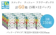 【ボックスティッシュ】スコッティティシューフラワーボックス250組60箱(1ケース5箱×12パック)  ふるさと納税 スコッティティシュー フラワーボックス ５箱パック 250組入り 　常備品　長持ちティシュー お肌 ワイパー 花柄 ミモザ チューリップ ブルースター ユーカリ かすみ草 京都府 福知山市