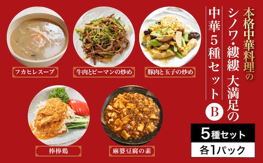 シノワ・縷縷 大満足の中華5種セットB ふるさと納税 中華 四川料理 5種 セット フカヒレスープ 牛肉とピーマンの炒め 豚肉と玉子の炒め 棒棒鶏 麻婆豆腐の素 小分け 冷凍 使いやすい 真空 パック 京都府 福知山市 FCBL012