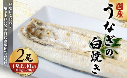 「国産うなぎの白焼き」 2尾セット【凍らさず美味しさそのまま！〆たて・焼きたてを冷”蔵”で発送】地元飲食店に愛される、美味さにこだわった「国産うなぎの白焼き」 特上 うなぎ 蒲焼 ウナギ 鰻蒲焼き うなぎ蒲焼き 白焼き 2尾 人気 国産 浜名湖 うなぎ 関西 鰻蒲焼 養殖 冷蔵 ギフト ご褒美 人気 京都 京都府 福知山市 FCF013