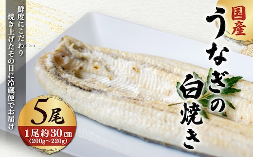 「国産うなぎの白焼き」 5尾セット【凍らさず美味しさそのまま！〆たて・焼きたてを冷”蔵”で発送】地元飲食店に愛される、美味さにこだわった「国産うなぎの白焼き」 特上 うなぎ 蒲焼 ウナギ 鰻蒲焼き うなぎ蒲焼き 白焼き 5尾 人気 国産 浜名湖 うなぎ 関西 鰻蒲焼 養殖 冷蔵 ギフト ご褒美 人気 京都 京都府 福知山市 FCF016