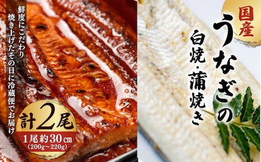 「国産うなぎの蒲焼き」×「国産うなぎの白焼き」 計2尾セット【凍らさず美味しさそのまま！〆たて・焼きたてを冷”蔵”で発送】地元飲食店に愛される、美味さにこだわった「国産うなぎの蒲焼き」×「国産うなぎの白焼き」計2尾セット 特上 うなぎ 蒲焼 ウナギ 鰻蒲焼き うなぎ蒲焼き 白焼き 2尾 人気 国産 浜名湖 うなぎ 関西 鰻蒲焼 養殖 冷蔵 ギフト ご褒美 人気 京都 京都府 福知山市 FCF017