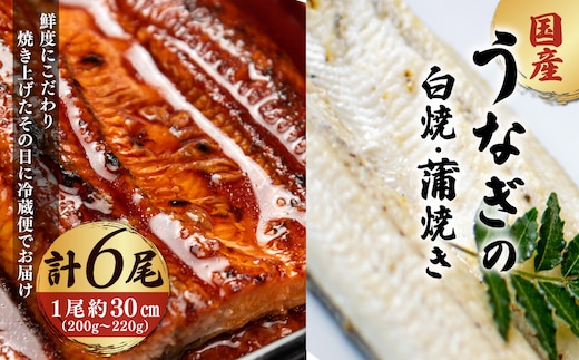 「国産うなぎの蒲焼き」×「国産うなぎの白焼き」 計6尾セット（各3尾）【凍らさず美味しさそのまま！〆たて・焼きたてを冷”蔵”で発送】地元飲食店に愛される、美味さにこだわった「国産うなぎの蒲焼き」×「国産うなぎの白焼き」 計6尾セット 特上 うなぎ 蒲焼 ウナギ 鰻蒲焼き うなぎ蒲焼き 白焼き 6尾 国産 浜名湖 関西 鰻蒲焼 養殖 冷蔵 ギフト ご褒美 人気 京都 京都府 福知山市 FCF019