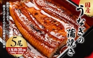 「国産うなぎの蒲焼き」5尾セット【凍らさず美味しさそのまま！〆たて・焼きたてを冷”蔵”で発送】地元飲食店に愛される、美味さにこだわった「国産うなぎの蒲焼き」 特上 うなぎ 蒲焼 ウナギ 鰻蒲焼き うなぎ蒲焼き 5尾 人気 国産 浜名湖 うなぎ 関西 鰻蒲焼 養殖 冷蔵 ギフト ご褒美 人気 京都　京都府 福知山市 FCF011