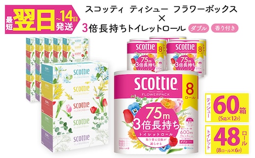 ＜ボックスティッシュ＆トイレットロールセット＞スコッティ ティシュー フラワーボックス 250組 60箱＆スコッティ フラワーパック 3倍長持ち ダブル 48ロール (ティッシュ：5箱×12パック・トイレットロール：8ロール×6パック)【fc-AS004-A】【日本製紙クレシア株式会社】