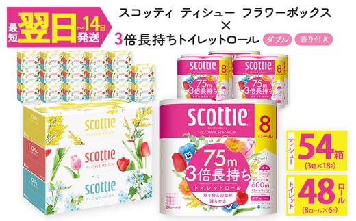 ＜ボックスティッシュ＆トイレットロールセット＞スコッティ ティシュー フラワーボックス 250組 54箱＆スコッティ フラワーパック 3倍長持ち 48ロール (ティッシュ：3箱×18パック・トイレットロール：8ロール×6パック)【fc-AS004-B】【日本製紙クレシア株式会社】