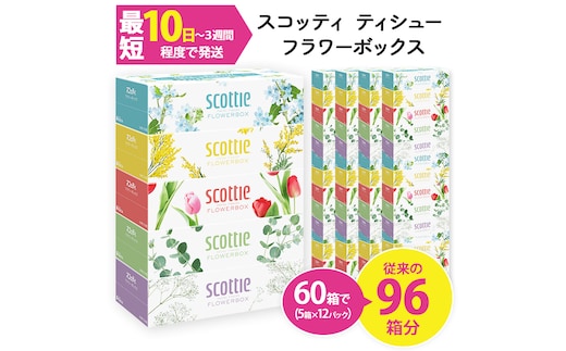 スコッティ ティシュー フラワーボックス 250組 (5箱×12パック・計60箱)【fc-AS002-A】【日本製紙クレシア株式会社】