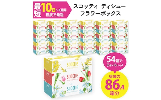 スコッティ ティシュー フラワーボックス 250組 (3箱×18パック・計54箱)【fc-AS002-B】【日本製紙クレシア株式会社】