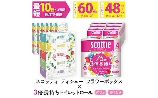 ＜ボックスティッシュ＆トイレットロールセット＞スコッティ ティシュー フラワーボックス 250組 60箱＆スコッティ フラワーパック 3倍長持ち ダブル 48ロール (ティッシュ：5箱×12パック・トイレットロール：4ロール×12パック)【fc-AS004-A】【日本製紙クレシア株式会社】