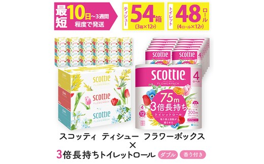 ＜ボックスティッシュ＆トイレットロールセット＞スコッティ ティシュー フラワーボックス 250組 54箱＆スコッティ フラワーパック 3倍長持ち 48ロール (ティッシュ：3箱×18パック・トイレットロール：4ロール×12パック)【fc-AS004-B】【日本製紙クレシア株式会社】