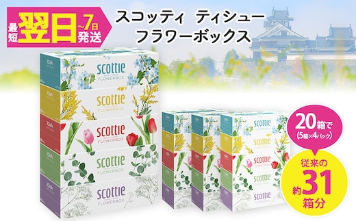 スコッティ ティシュー フラワーボックス 250組 (5箱×4パック・計20箱)【fc-AS002-A-4P】【日本製紙クレシア株式会社】