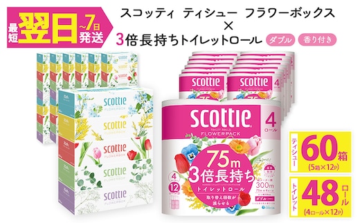 ＜ボックスティッシュ＆トイレットロールセット＞スコッティ ティシュー フラワーボックス 250組 60箱＆スコッティ フラワーパック 3倍長持ち ダブル 48ロール (ティッシュ：5箱×12パック・トイレットロール：4ロール×12パック)【fc-AS004-A】【日本製紙クレシア株式会社】