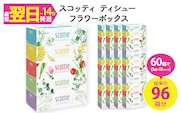 スコッティ ティシュー フラワーボックス 250組 (5箱×12パック・計60箱)【fc-AS002-A】【日本製紙クレシア株式会社】