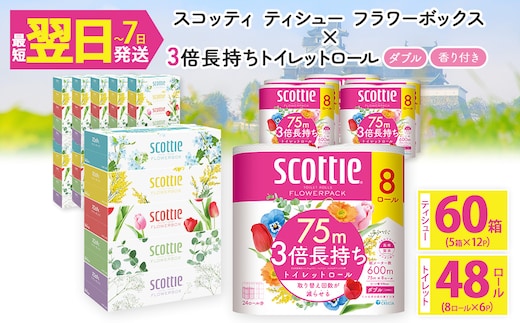 ＜ボックスティッシュ＆トイレットロールセット＞スコッティ ティシュー フラワーボックス 250組 60箱＆スコッティ フラワーパック 3倍長持ち ダブル 48ロール (ティッシュ：5箱×12パック・トイレットロール：8ロール×6パック)【fc-AS004-A】【日本製紙クレシア株式会社】
