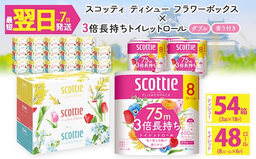 ＜ボックスティッシュ＆トイレットロールセット＞スコッティ ティシュー フラワーボックス 250組 54箱＆スコッティ フラワーパック 3倍長持ち 48ロール (ティッシュ：3箱×18パック・トイレットロール：8ロール×6パック)【fc-AS004-B】【日本製紙クレシア株式会社】