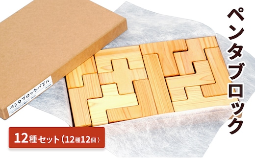 ペンタブロック 12種セット パズル ゲーム 安全 創造性 逸級品 