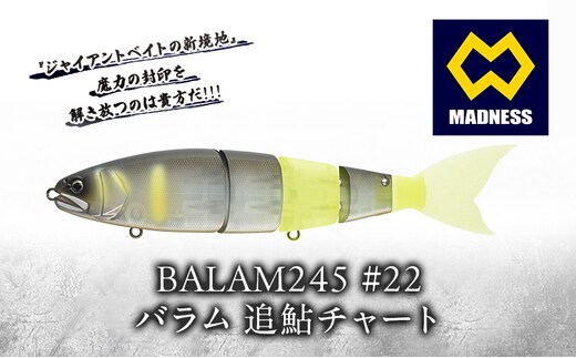 BALAM245 #22 バラム 追鮎チャート〈マドネス、ビックベイト、スイムベイト、ジャイアントベイト、釣り、バス釣り、ルアー、釣り具、スポーツ〉雑貨 日用品