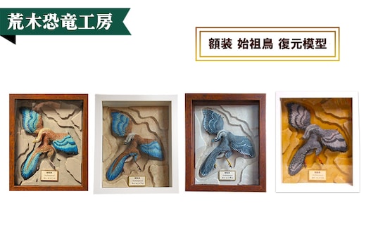 額装 始祖鳥 復元模型 荒木恐竜工房 恐竜 模型2 翼：グレー系 ボックス額：茶色
